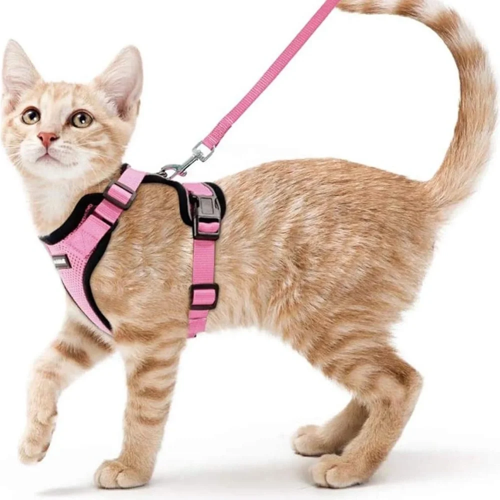 Rabbitgoo and Supet bundle! Small Cat and Dog harness set